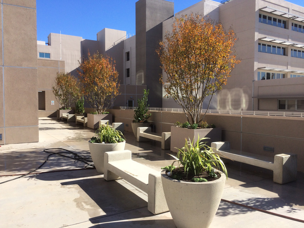 Gallery Beverly Hills Landscape Maintenance, Landscape Installation